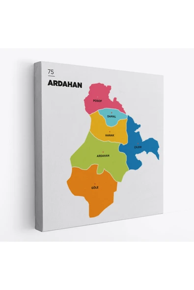 Trezon Ardahan İli ve İlçeler Haritası Dekoratif Kanvas Tablo 1270 ürün görseli 1