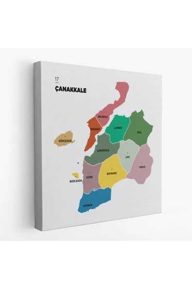 Trezon Çanakkale İli ve İlçeler Haritası Dekoratif Kanvas Tablo 1310 ürün görseli 1