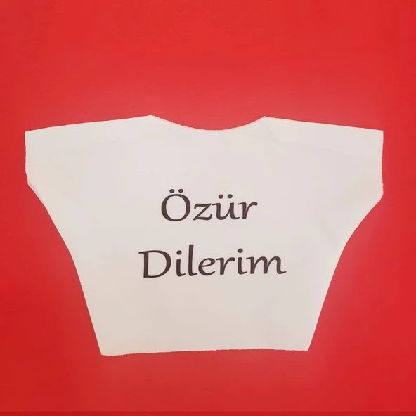Özür Dilerim Yazılı Peluş Oyuncak Ayı Tişörtü ürün görseli 1