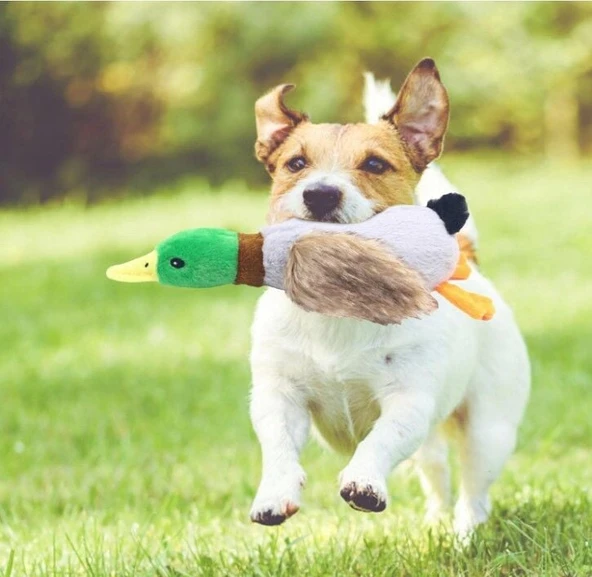 Sesli Ördek Şekilli Peluş Köpek Oyuncağı ürün görseli 1