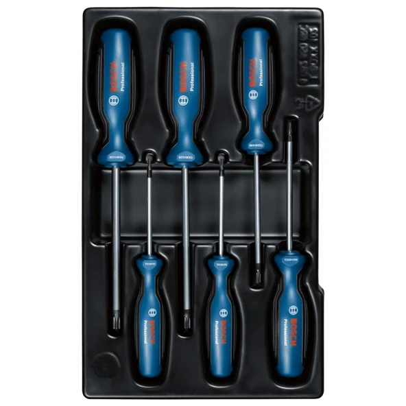 Bosch Professional Torx Tornavida Seti 6 Parça ürün görseli 1