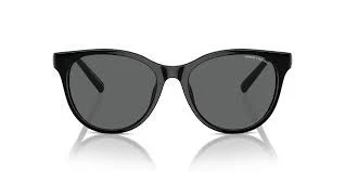 ARMANİ EXCHANGE AX 4144SU 815887 54 17 140 UNISEX GÜNEŞ GÖZLÜĞÜ ürün görseli 1