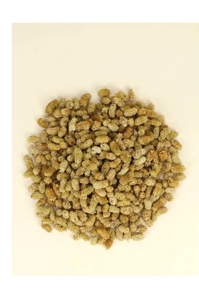 ZAYKA Dut Kurusu 1000 Gr (1 Kg) - Resim 2