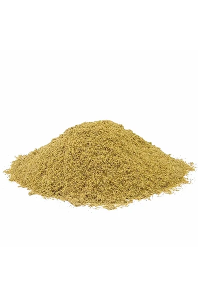 Aktarlife 100 Gr Kişniş Tozu ürün görseli 1