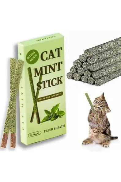 6 Adet Doğal Meyve Aromalı Matatabi Çubuğu Catnip Stick Kedi Catnip Dalı Cat Mint Stick ürün görseli 1