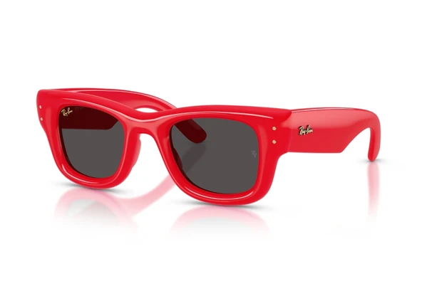 Ray-Ban 0RB4940 683187 47 Unisex Güneş Gözlüğü ürün görseli 1