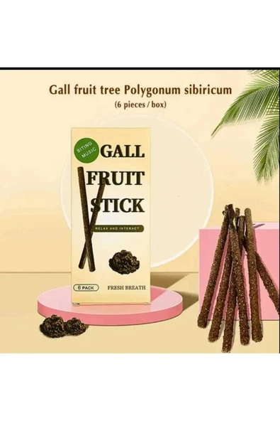 6 Adet Doğal Meyve Aromalı Matatabi Çubuğu Catnip Stick Kedi Catnip Dalı  Gall-Fruıt-Stick ürün görseli 1