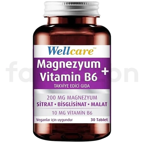 Wellcare Magnezyum + Vitamin B6 30 Tablet ürün görseli 1