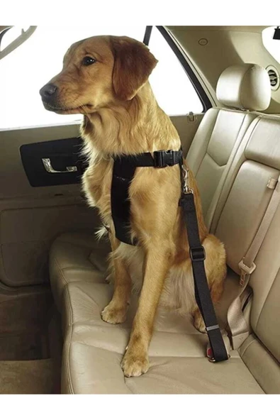 Evcil Hayvan Araç Emniyet Kemeri Kedi Köpek Araba Oto Tasması Oto Aksesuarları Siyah ürün görseli 1