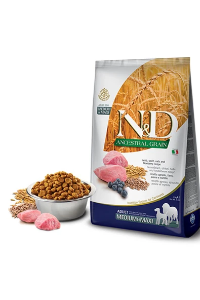 N&D ANCESTRAL GRAİN DOG LAMB, SPELT, OATS & BLUEBERRY ADULT MEDİUM&MAXİ 2,5KG ürün görseli 1