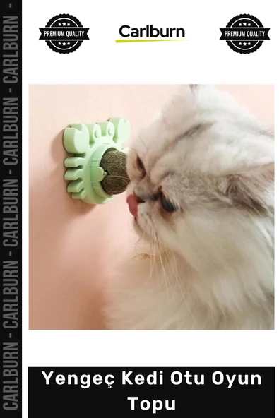 #Petshop Yenilebilir Saf Kimyasalsız Yapışkanlı Sağlıklı Kedi Nanesi Yengeç Kedi Otu Oyun Topu ürün görseli 1