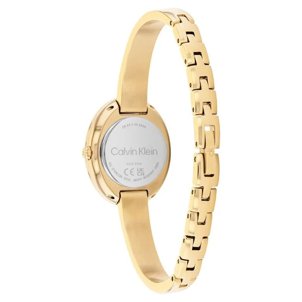 Calvin Klein CK25100203 Kadın Kol Saati - Resim 2