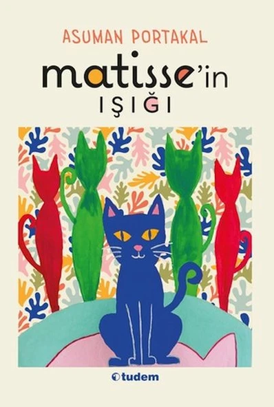 Matisse'in Işığı ürün görseli 1