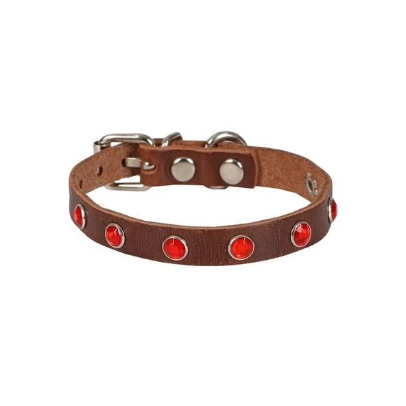 Taşlı Kedi ve Yru Köpek Tasması 1,5x29 cm Kahverengi XLarge ürün görseli 1