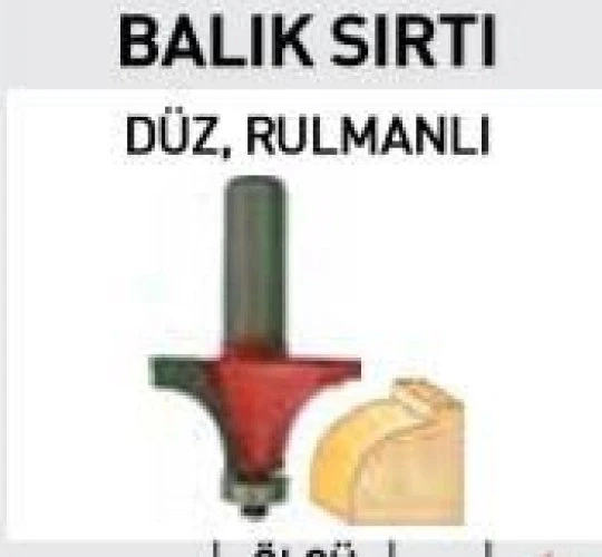 14451 Balıksırtı Freze Bıçağı 12 mm  R5 ürün görseli 1