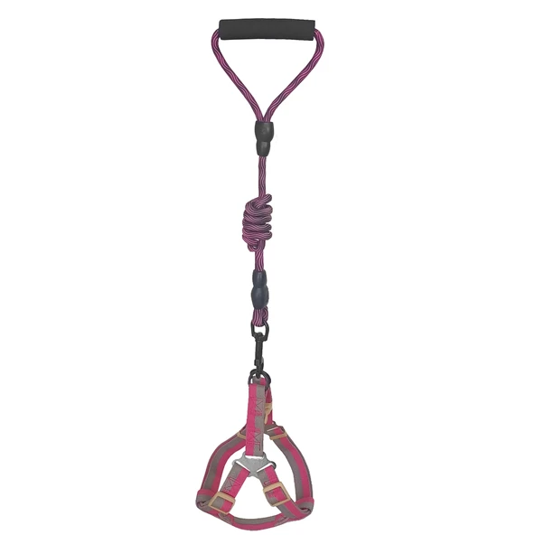 Köpek Göğüs Tasma Seti Daa Desenli 2 cm*40-58 cm Mor-Pembe ürün görseli 1