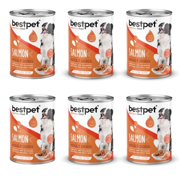 Bestpet Somon Balıklı Köpek Konservesi 400 gr 6'lı Paket ürün görseli 1