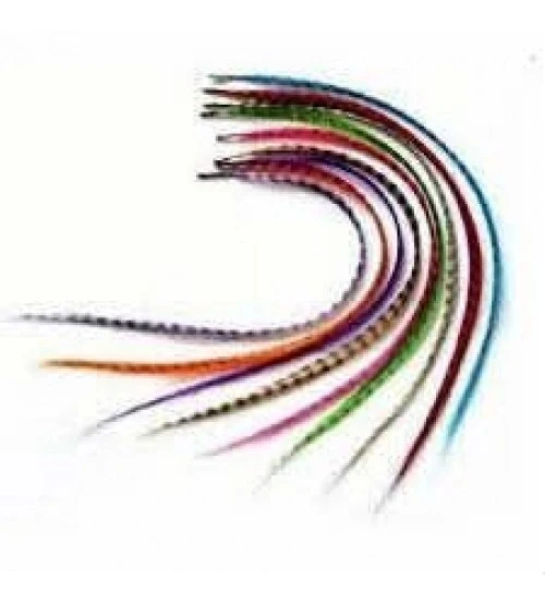 Hair Feather  Tüyü - Asorti - Resim 2