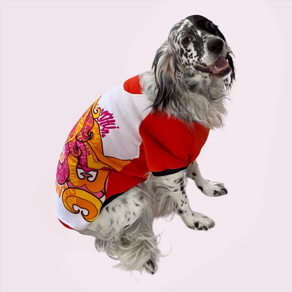 Cute Girl Special Sweatshirt Orta ve Büyük Irklar İçin ürün görseli 1
