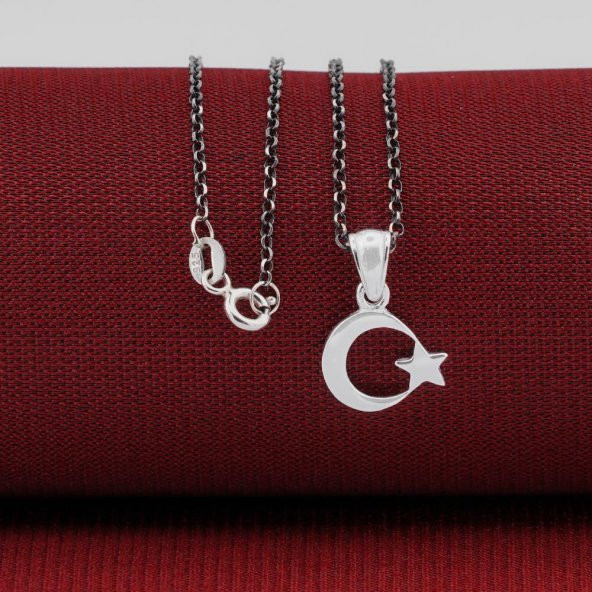 Minimal Çift Taraflı Ay Yıldız 925 Ayar Gümüş Kadın Kolye ürün görseli 1