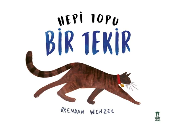 Hepi Topu Bir Tekir ürün görseli 1