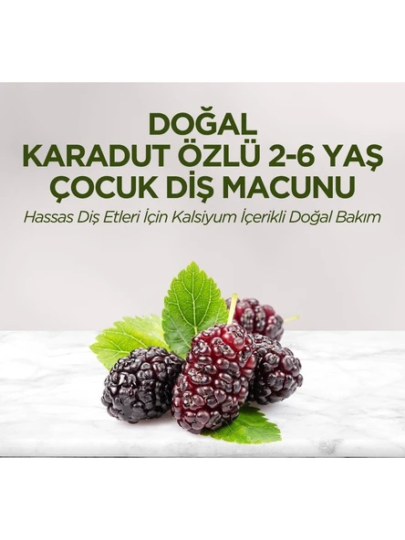 Eyüp Sabri Tuncer Doğal Karadut Özlü 2-6 Yaş Çocuk Diş Macunu 60 ml ürün görseli 1