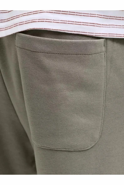 Jack Jones Gordon Bradley Regular Fit Erkek Şort 12249285 - Resim 6