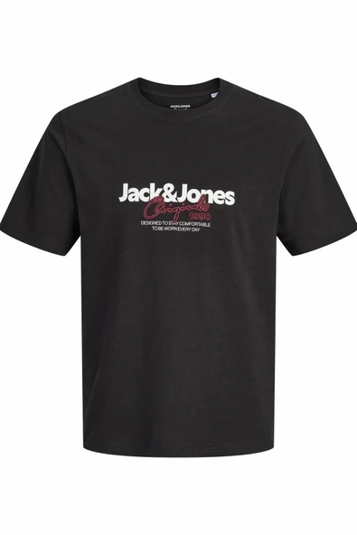 Jack Jones Cassıs Regular Fit Erkek Tişört 12301961 ürün görseli 1