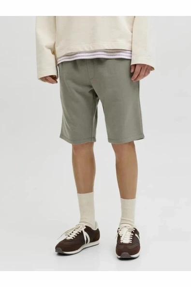 Jack Jones Gordon Bradley Regular Fit Erkek Şort 12249285 ürün görseli 1