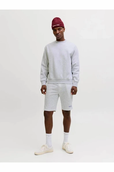 Jack Jones Gordon Regular Fit Erkek Şort 12292136 - Resim 2