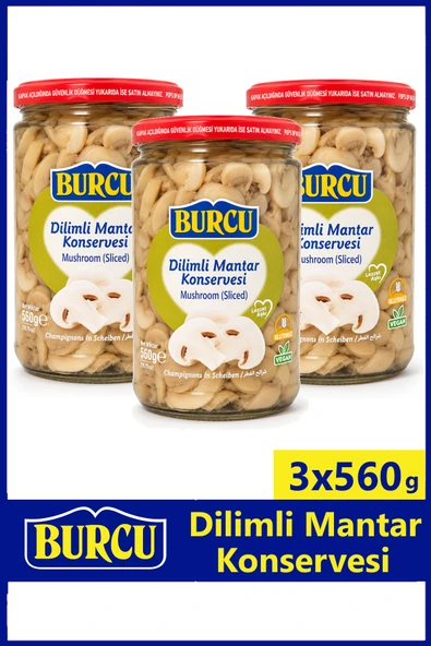 Burcu Dilim Mantar Konservesi 560 gr x 3 Adet ürün görseli 1