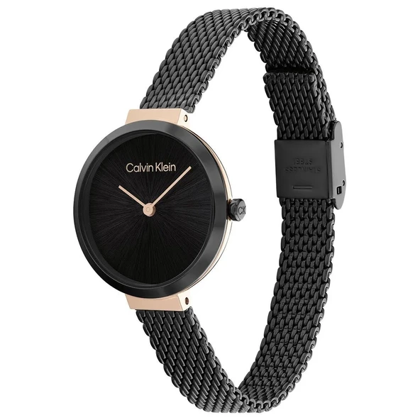 Calvin Klein CK25200084 Kadın Kol Saati - Resim 2