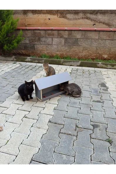ahşap dış mekan suya dayanıklı kedi yemlik mamalık 22x45 cm ürün görseli 1