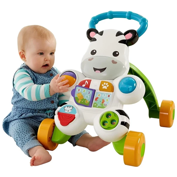Melodili Yürüteç Zebra DLD80 - Resim 4