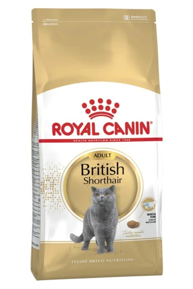 Royal Canin British Shorthair Için Özel Yetişkin Kedi Maması 2 kg ürün görseli 1