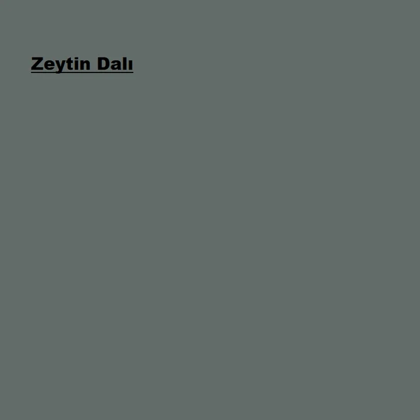 Marshall Su Bazlı Panel Kapı Boyası Zeytin Dalı 1L - Resim 2