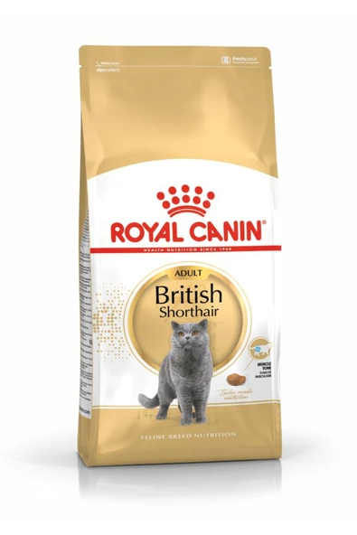 Royal Canin British Shorthair Adult Kedi Kuru Maması 2 Kg ürün görseli 1