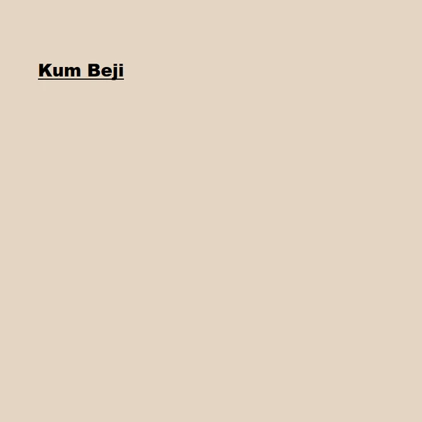 Marshall Solvent Bazlı Panel Kapı Boyası Kum Beji 2,5L - Resim 2