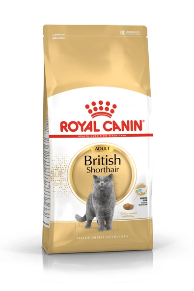 Royal Canin British Shorthair Için Kuru Kedi Maması 10kg ürün görseli 1