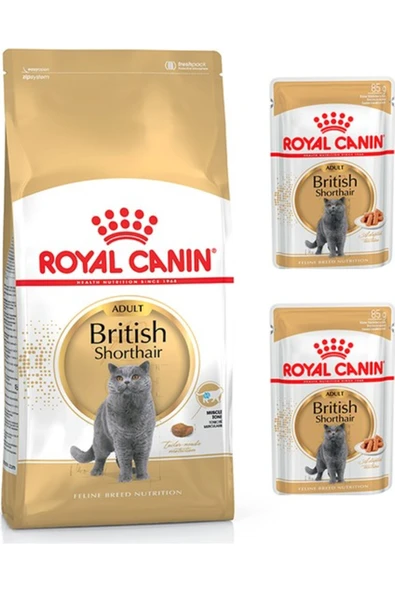 Royal Canin Adult Yetişkin British Shorthair Kedi Maması 2 kg + Royal Canin Yetişkin British Shorhai ürün görseli 1