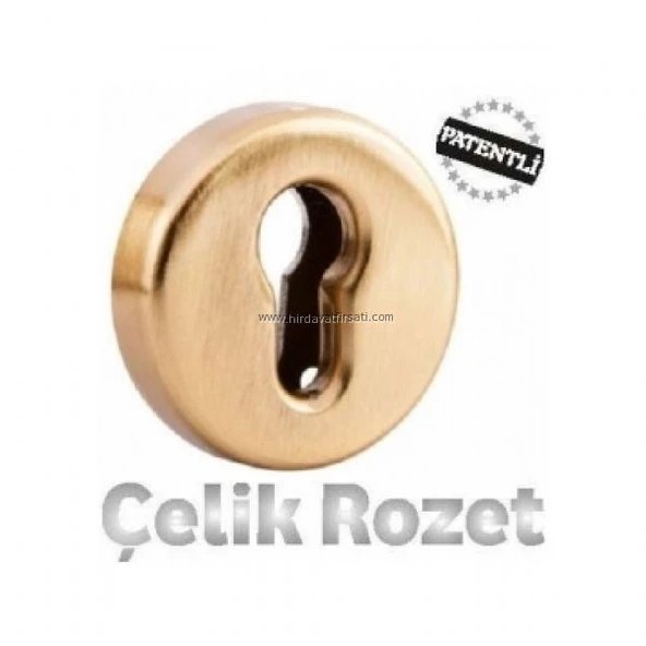 Sarı yale çelik rozet eski tip kapılar için ürün görseli 1