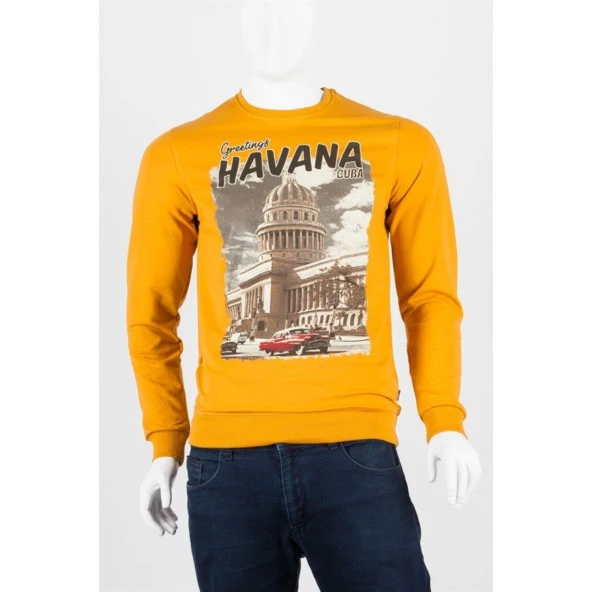 Havana Unisex Pamuklu Slim Fit Sweatshirt Medium ürün görseli 1