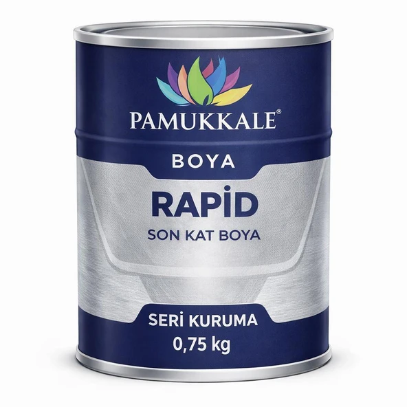 Pamukkale 1402 Rapid Hızlı Kuruyan Metal Boyası Parlak 0.75 Kg Metalik Gri Ral 9006 ürün görseli 1