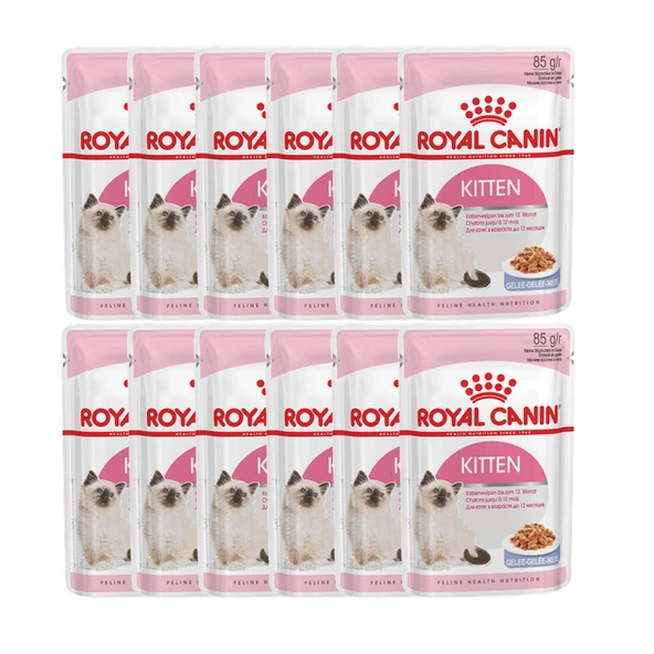 ROYAL CANIN KITTEN JELLY 85G x 12 Adet ürün görseli 1