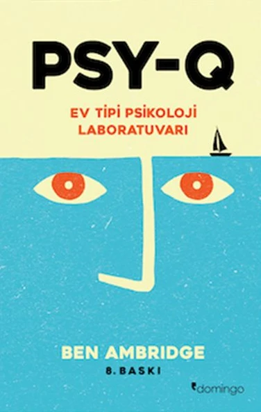 PSY-Q - Ev Tipi Psikoloji Laboratuvarı ürün görseli 1