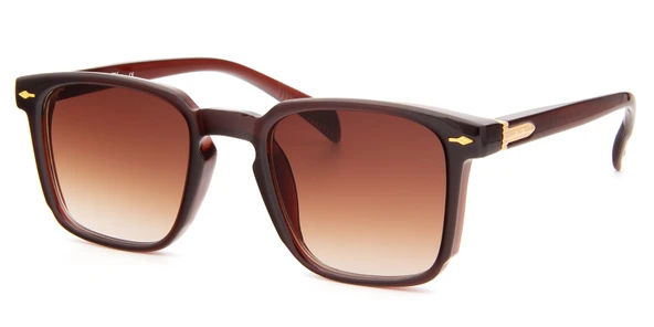 Falenti AE981-C2 49 Unisex Güneş Gözlüğü ürün görseli 1