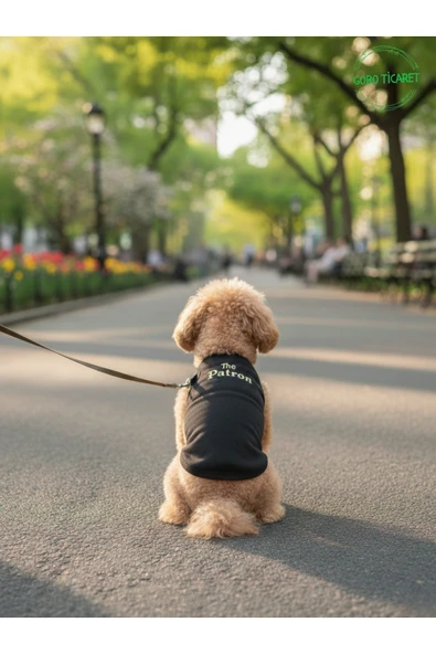 Gobo Siyah The Patron Yazılı Kedi ve Köpek Kıyafeti Tişörtü Elbisesi SMALL/S/Beden 1 ürün görseli 1