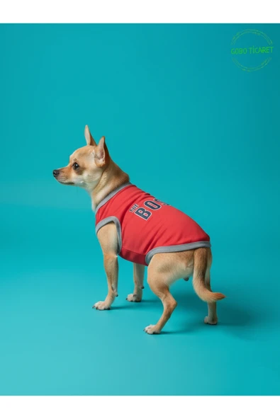 Gobo Kırmızı The Boss (Patron) Yazılı Kedi ve Köpek Kıyafeti Tişörtü Elbisesi Large/L/Beden 3 ürün görseli 1