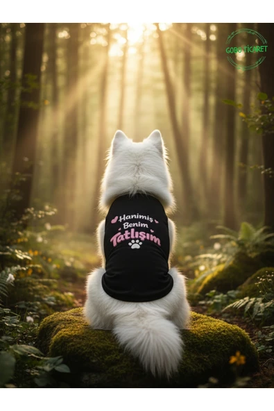 Gobo Siyah Hanimiş Benim Tatlışım Baskılı Kedi ve Köpek Kıyafeti Tişörtü Elbisesi Large/L/Beden 3 ürün görseli 1