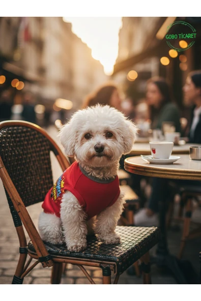 Gobo Kırmızı Yürüyen Karizma Yazılı Kedi ve Köpek Kıyafeti Tişörtü Elbisesi XSMALL/XS/Beden 0 ürün görseli 1